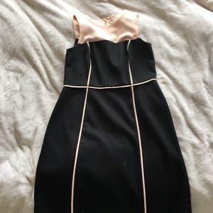 Sophisticated • LOFT • DRESS - Size 8 Pink & Black